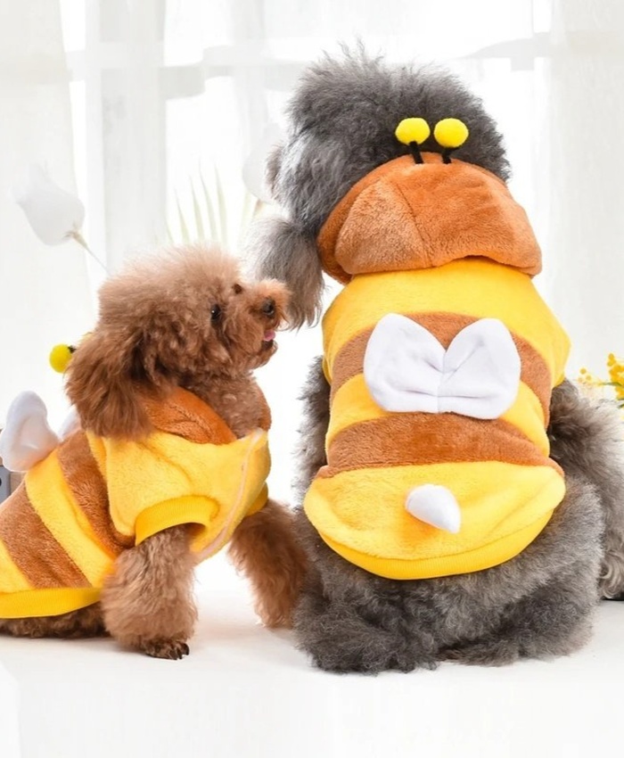 Yellow Bee Dog Jacket