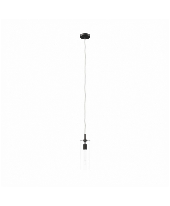Skylark Pendant Light In Clear Black
