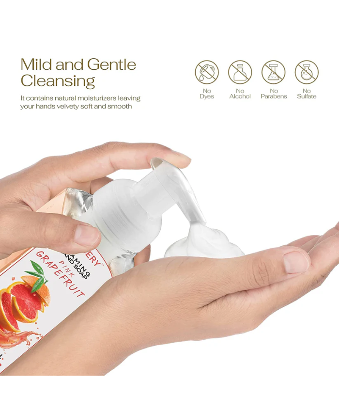 Citrus Foaming Hand Soap - Pack of 5