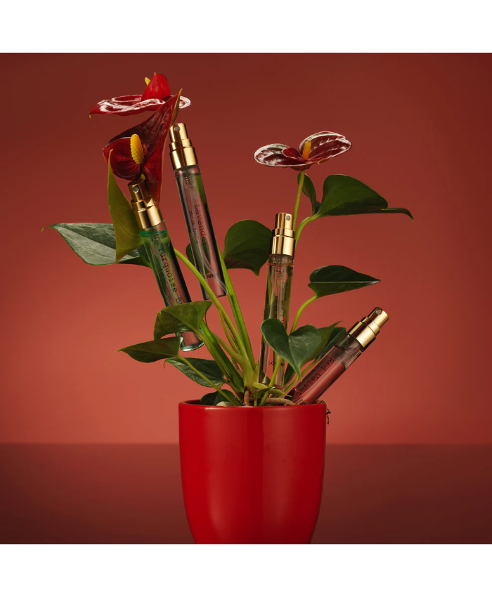 Perfume Gift Box - 24pc Perfume Gift Set for Women & Men