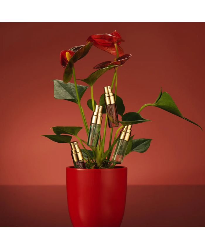 Perfume Gifts for Women 2025 - 12pc Perfume Fragrance Advent Calendar Set