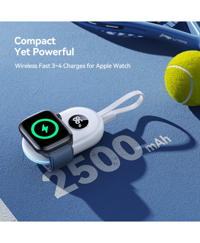 Portable 2500mAh Wireless Charger