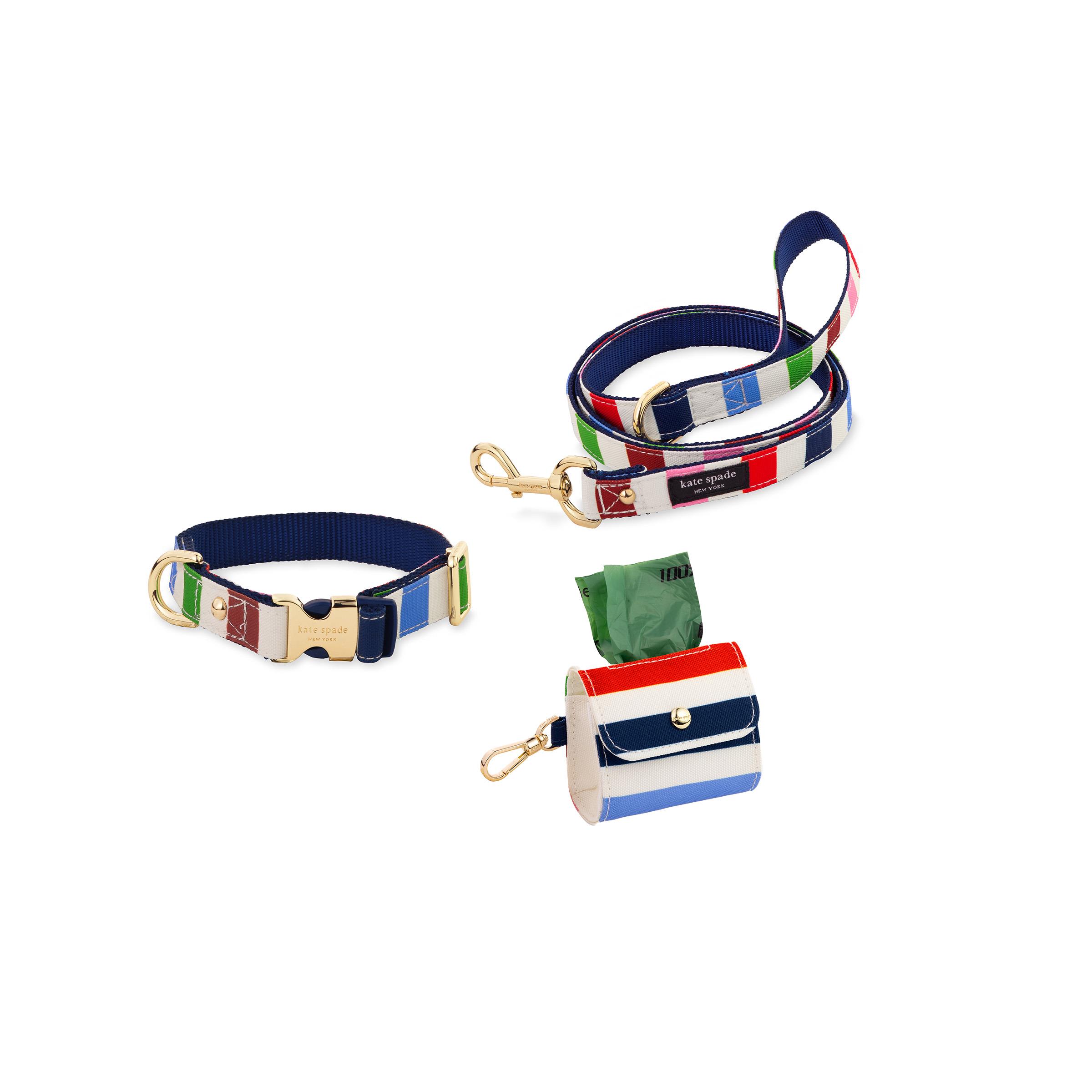 Small/Medium Collar, Leash & Doggie Bag Holder Bundle