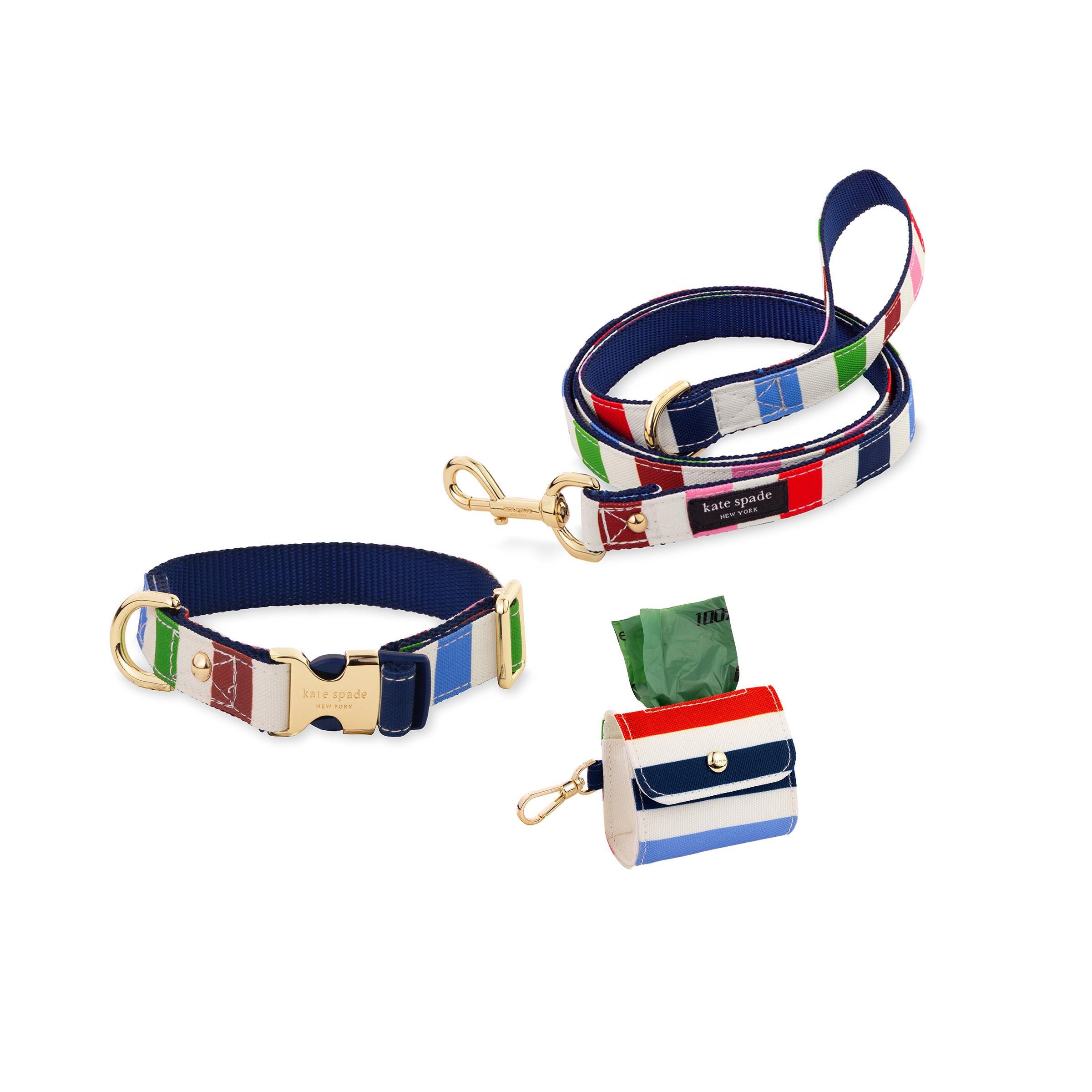 Medium/Large Collar, Leash & Doggie Bag Holder Bundle