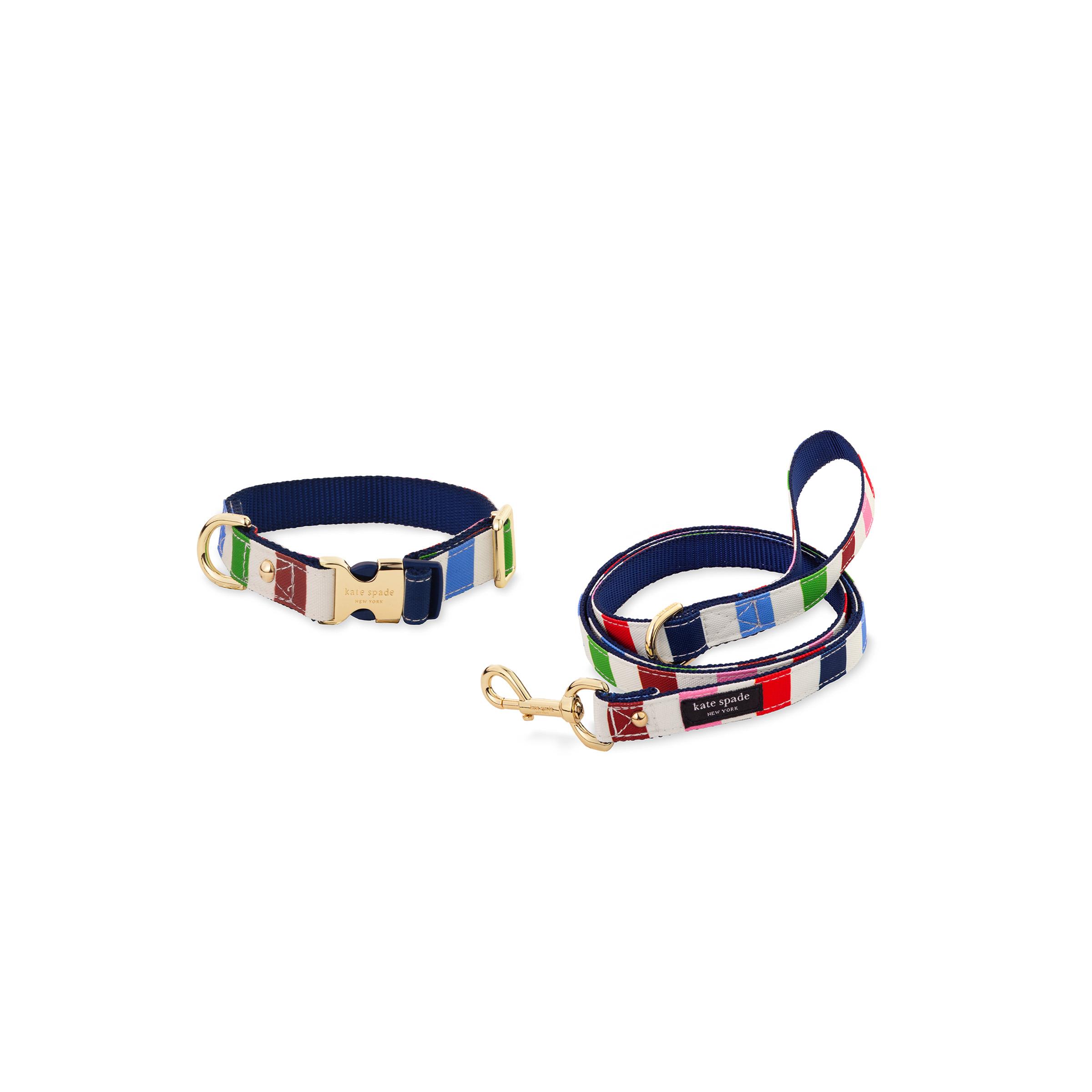 Small/Medium Collar & Leash Bundle
