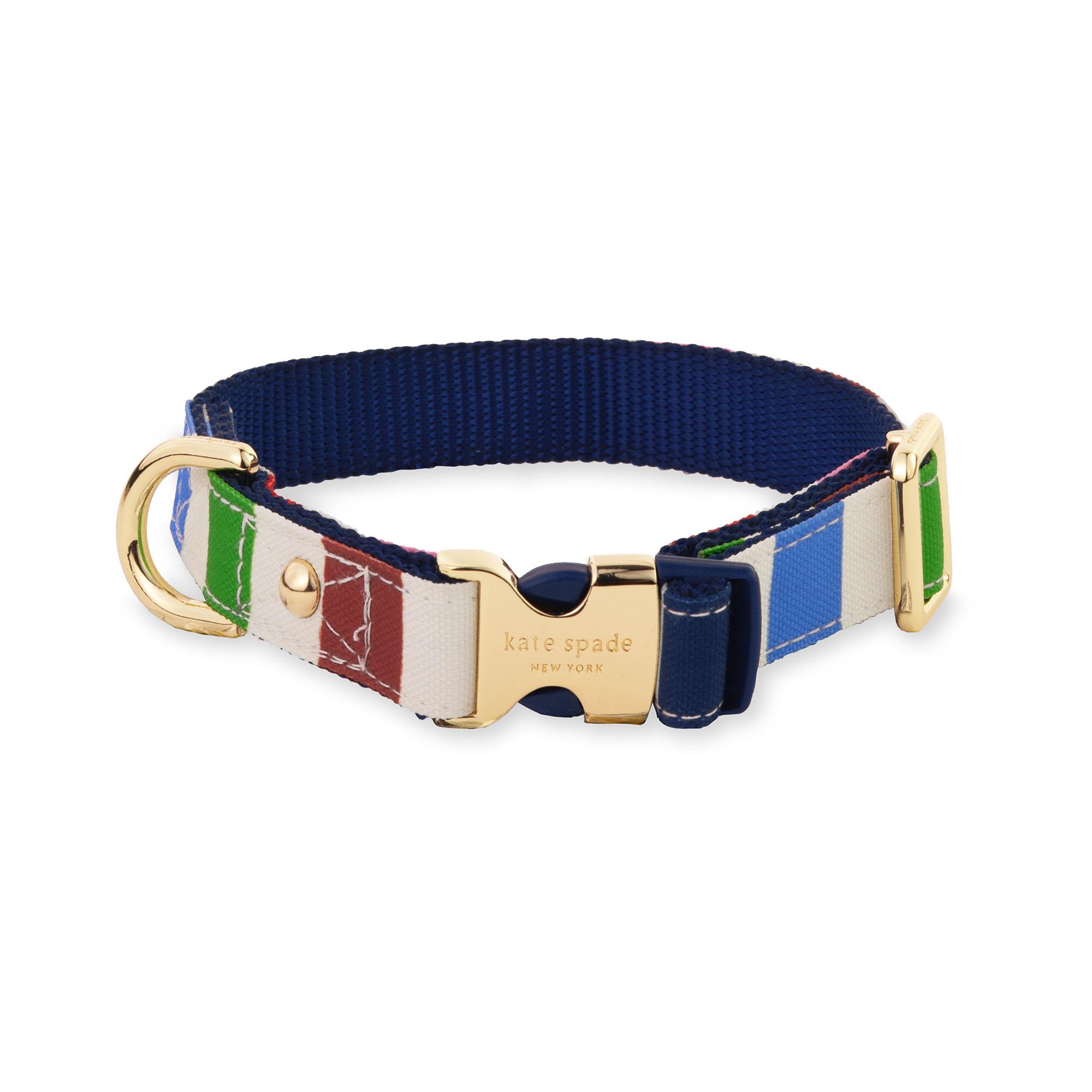 Small Dog Collar , Adventure Stripe