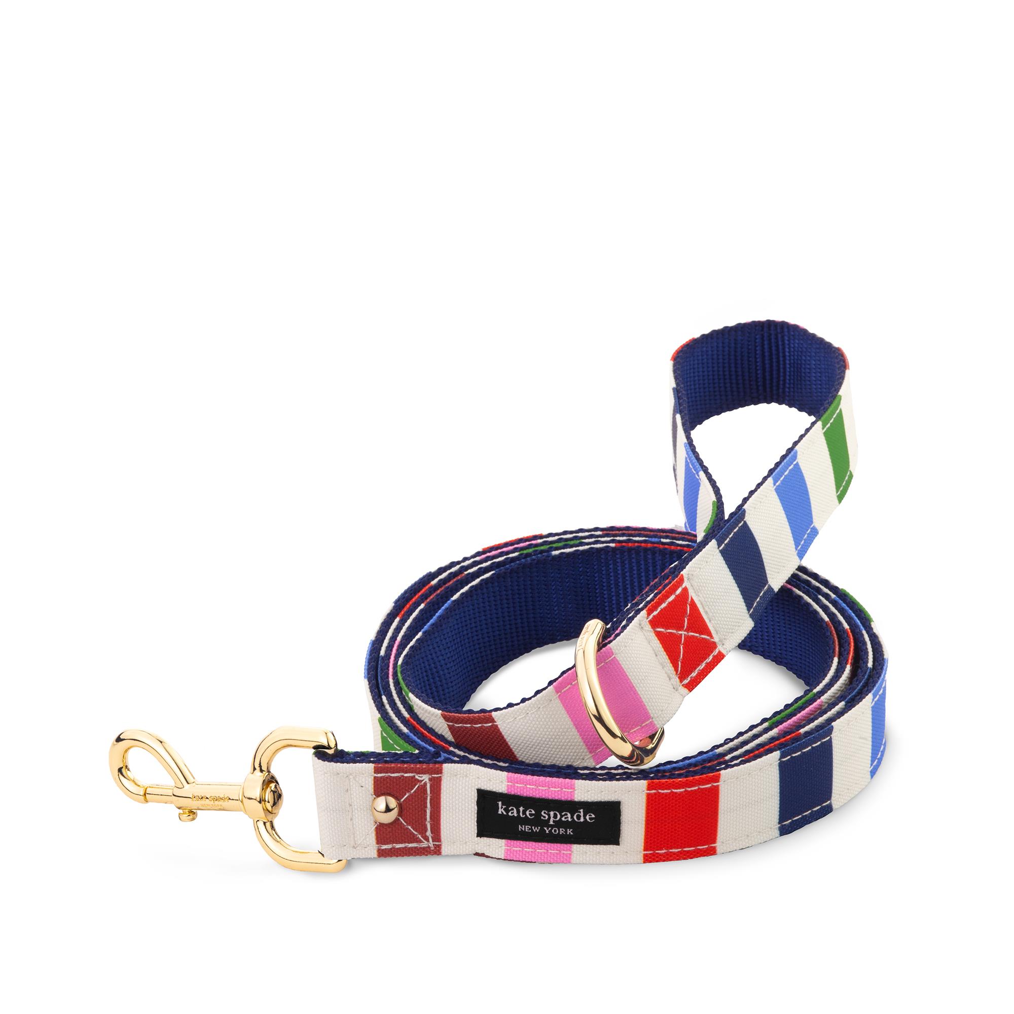 Large Dog Leash , Adventure Stripe