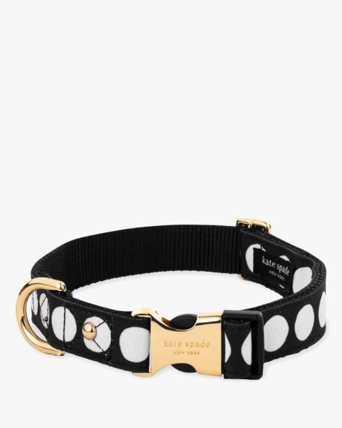 Small Dog Collar , Art Dot