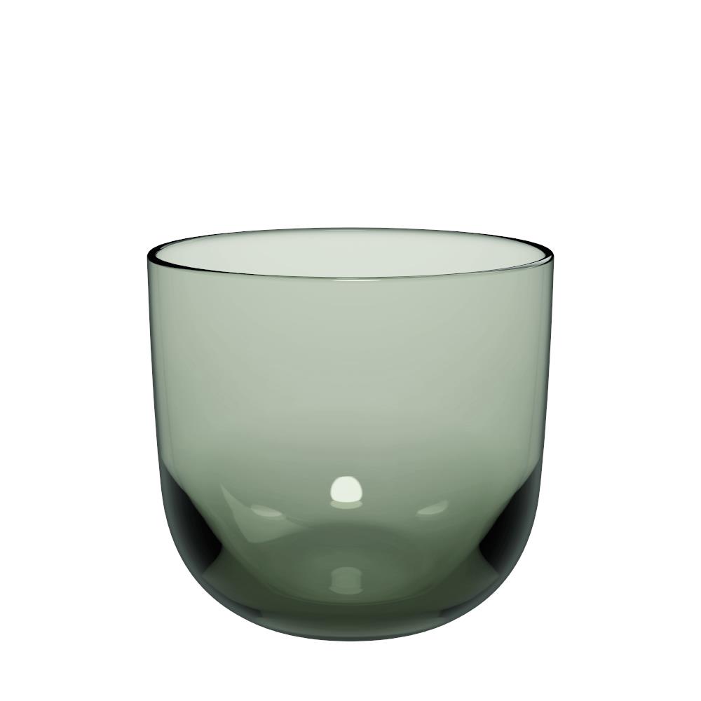 Like Sage Water Glass Set Of 2