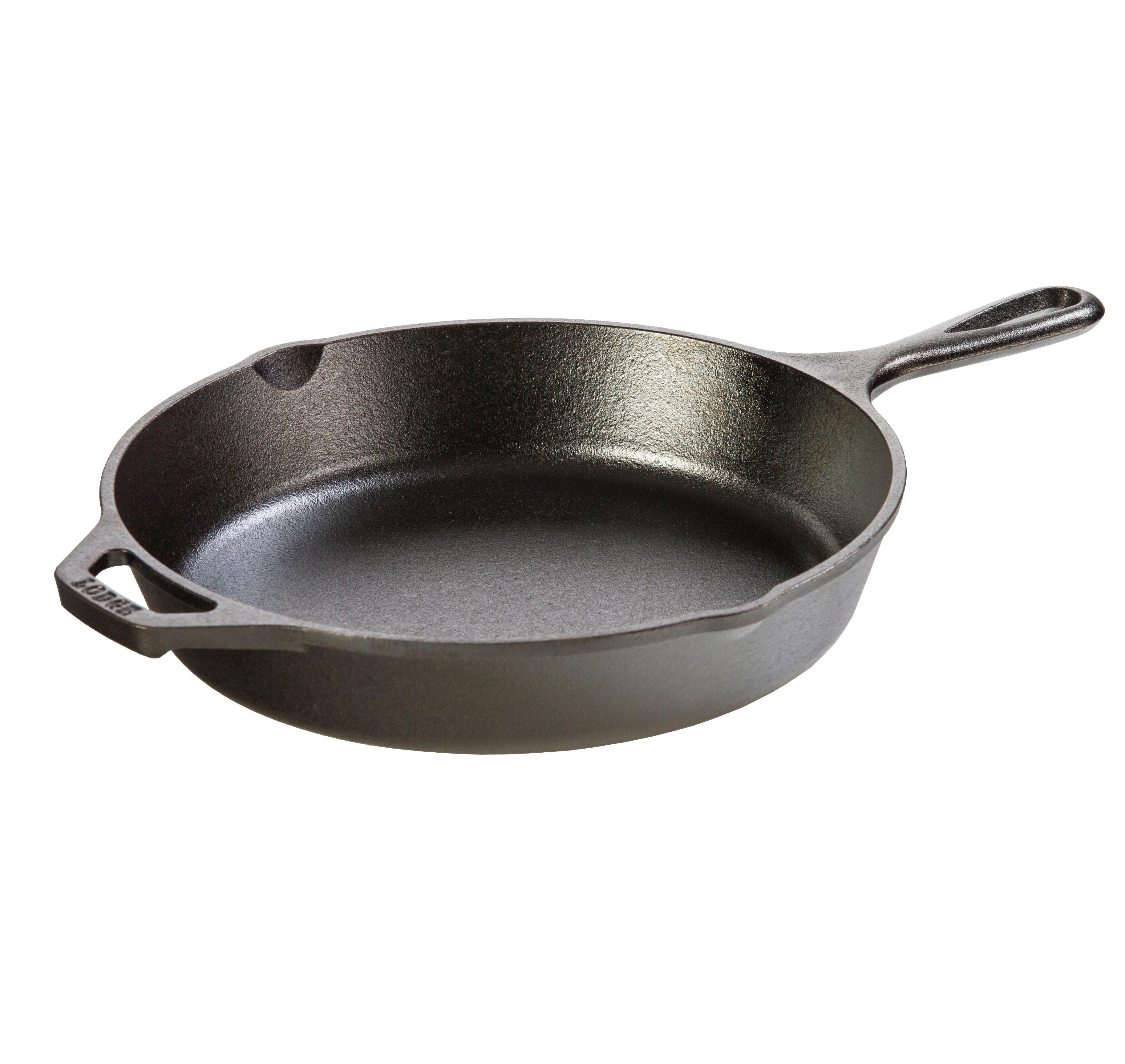 Lodge - Logic Skillet, 10.25-Inch