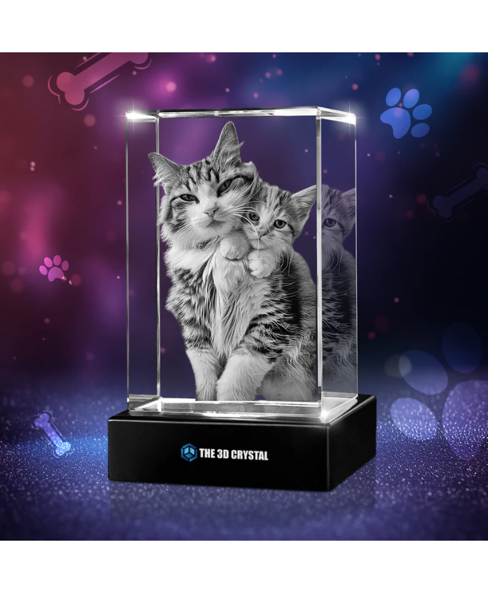 3D Crystal Pet Cube