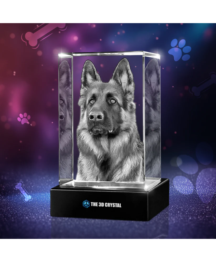 3D Crystal Pet Cube