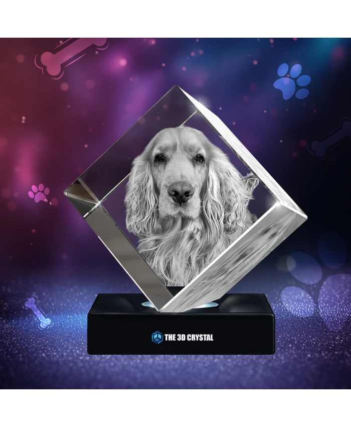 3D Crystal Pet Diamond Cube