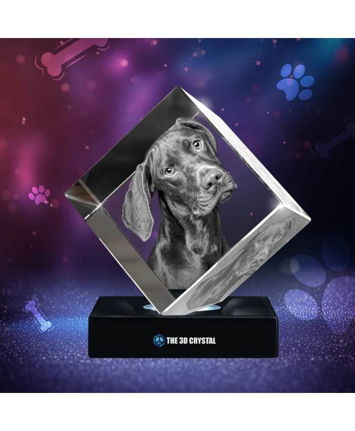 3D Crystal Pet Diamond Cube