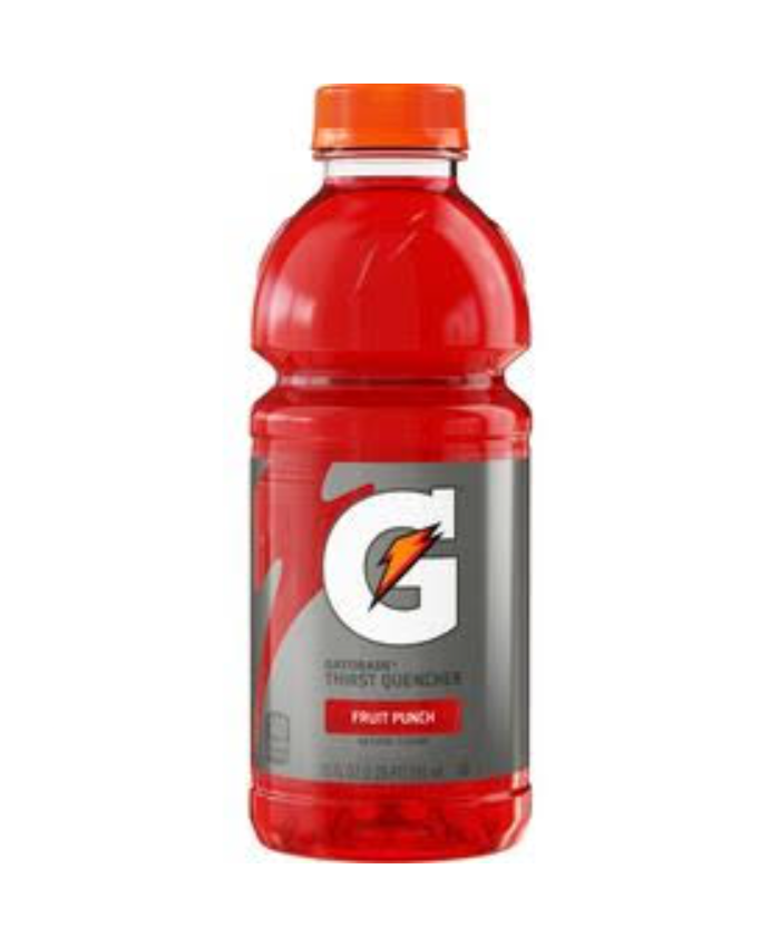 Gatorade Thirst Quencher – Fruit Punch