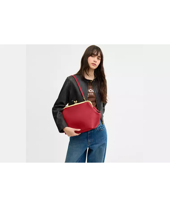 Kisslock Frame Bag 27