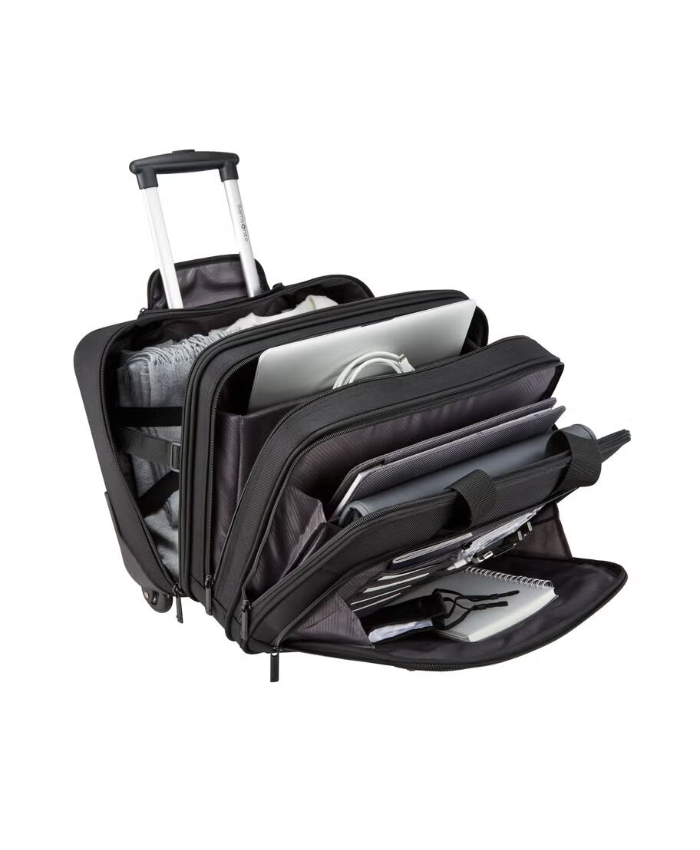 Classic Business 2.0 Wheeled Business Case