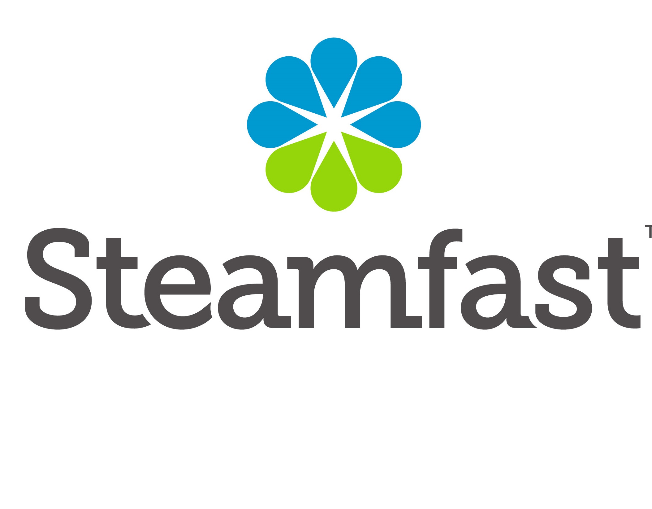 Steamfast