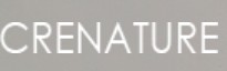 AWE Logo